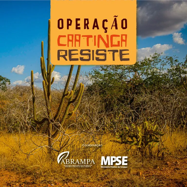 Operação Caatinga Resiste é lançada para combater desmatamento ilegal no semiárido