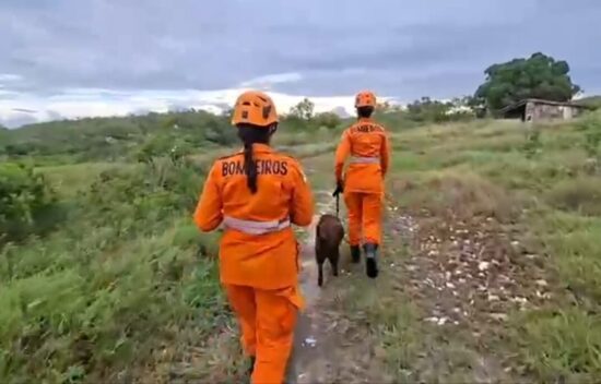Bombeiros realizam buscas por idoso de 65 anos desaparecido em mata de Itabaiana
