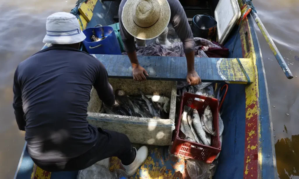 Ministério do Trabalho paga 6º lote do seguro-defeso a 110.904 pescadores