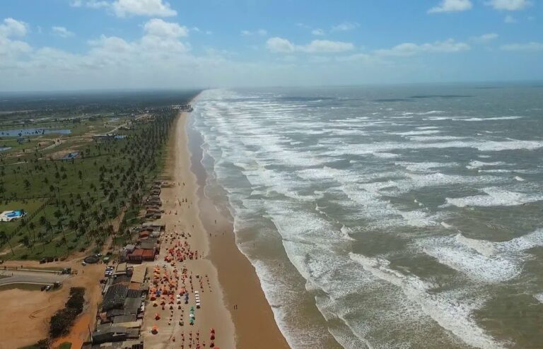 Alerta no litoral: Suposto avistamento de tubarões na Barra dos Coqueiros mobiliza especialistas