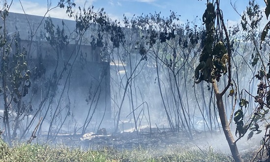 Incêndio em terreno baldio mobiliza bombeiros e causa evacuação de supermercado em Rosa Maria