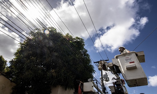Poda de árvores: quando acionar a Energisa em Sergipe