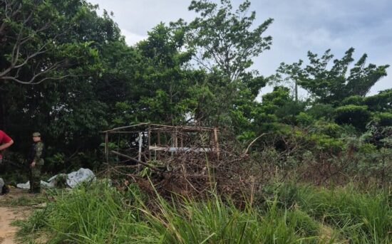 Homem é autuado por desmatar Área de Preservação Permanente em Aracaju