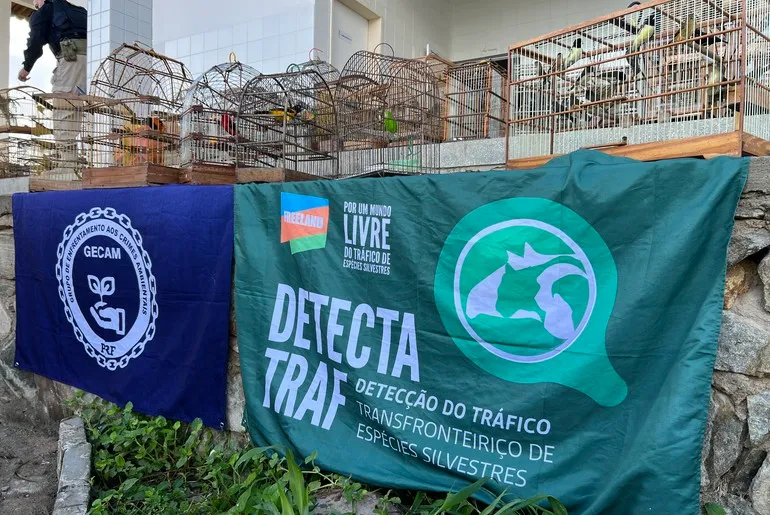 Fiscalização da PRF e Adema apreende 517 animais silvestres no sertão de Sergipe