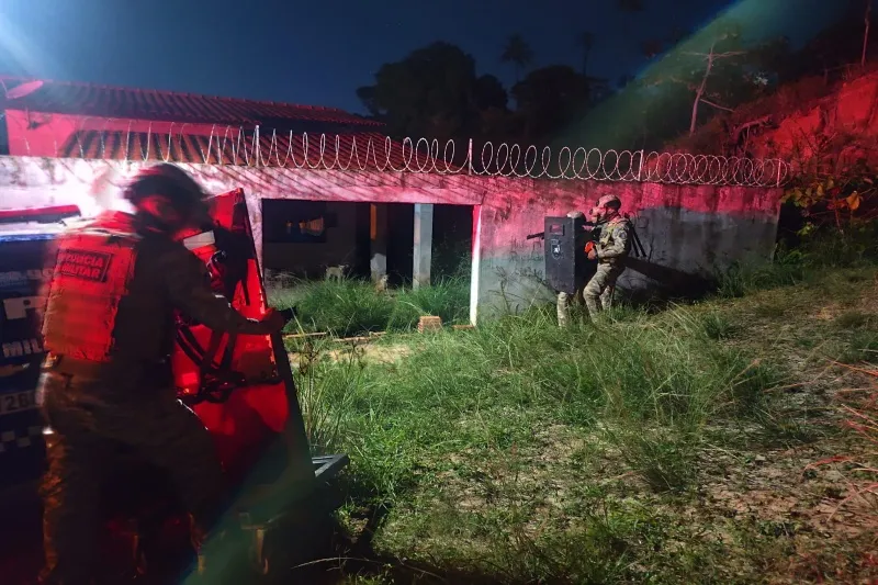 Mulher em surto psicótico teria matado seis filhotes com enxada em São Cristóvão