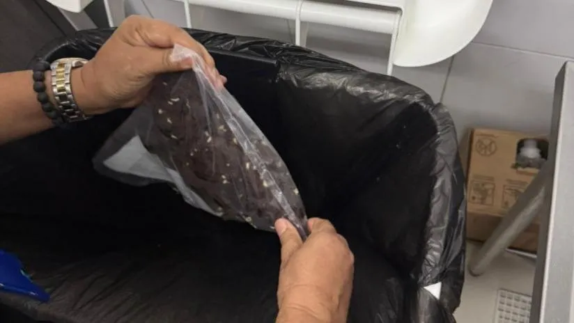 Fiscalização apreende alimentos vencidos em comércio na Rua 24 Horas, em Aracaju