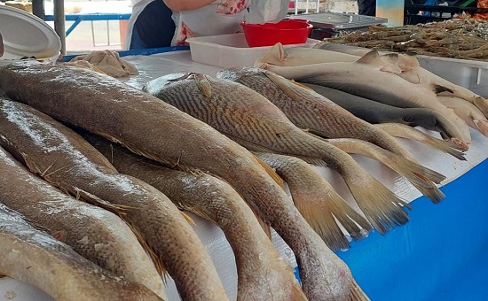 Feira dos Pescados começa em Aracaju nesta quarta-feira e segue até 3 de abril