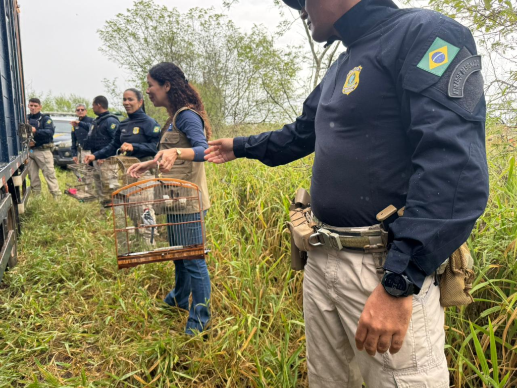 Adema e PRF resgatam animais silvestres criados ilegalmente em Sergipe durante Operação Rotas da Fauna