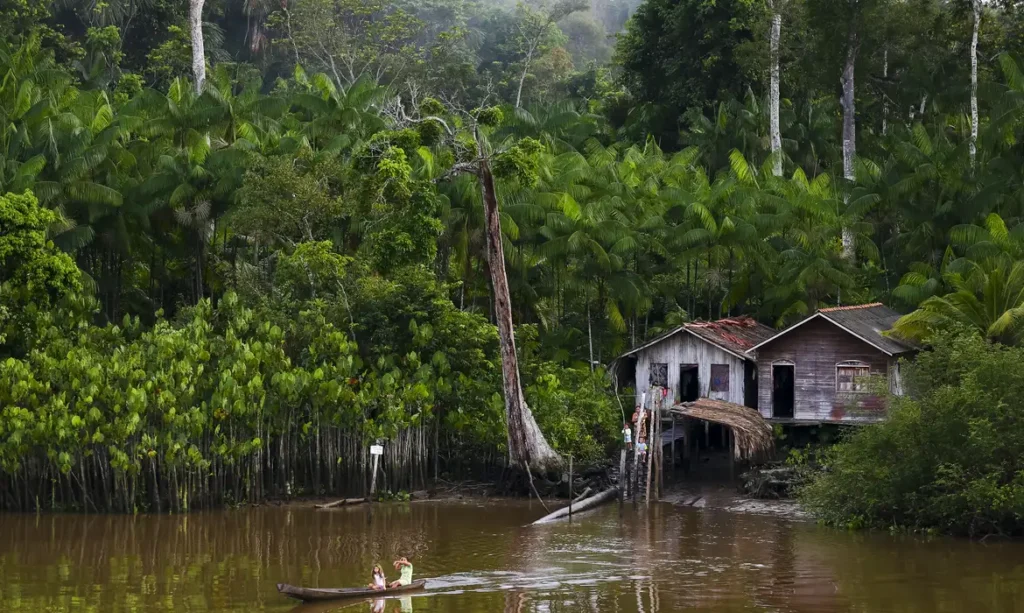 Projeto leva tratamento gratuito para Doença de Jorge Lobo na Amazônia