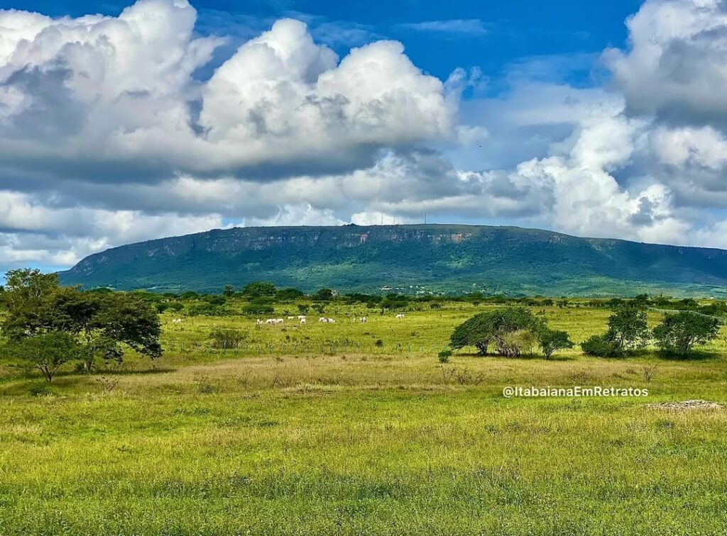 Itabaiana, o berço da agropequária comercial no Brasil!