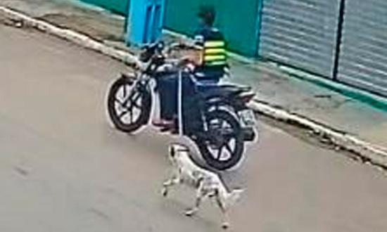 Polícia Civil identifica suspeito de arrastar cachorro em Porto da Folha