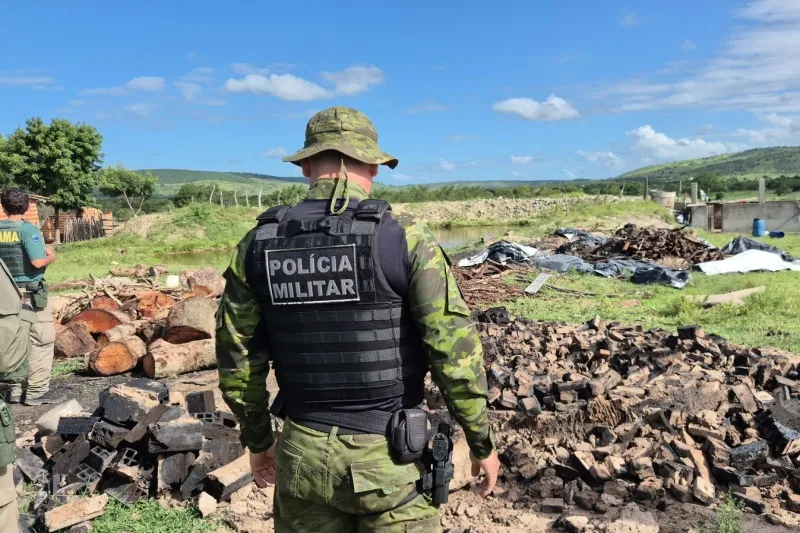 Operação Mandakaru do Ibama e da Cipam intensifica fiscalização contra desmatamento da Caatinga em Sergipe