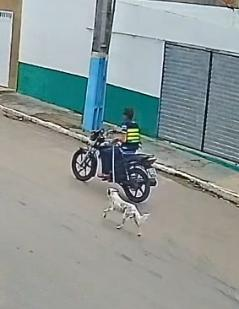 Polícia Civil identifica suspeito de maus-tratos a animal em Porto da Folha