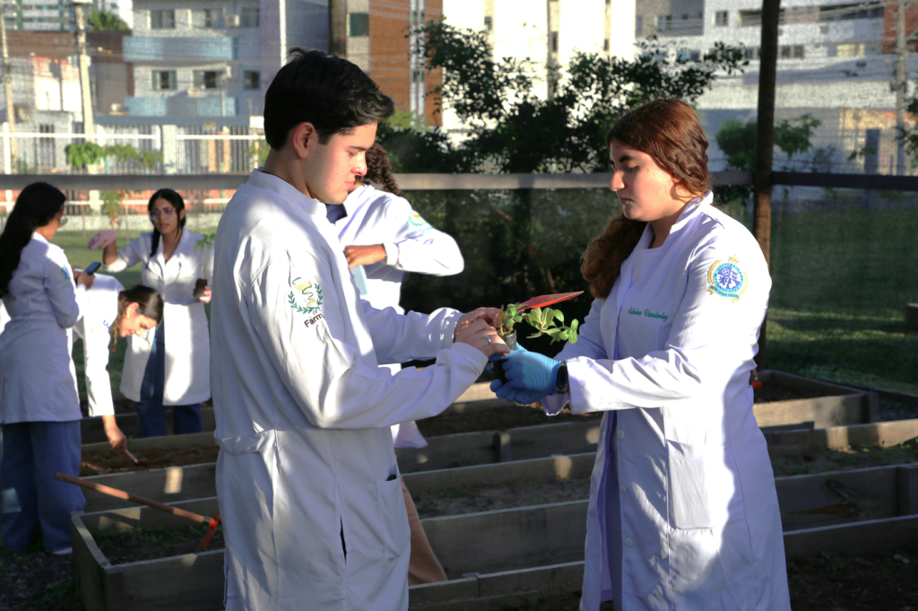 Programa Farmácia Viva une ensino e saúde pública na produção de medicamentos à base de plantas