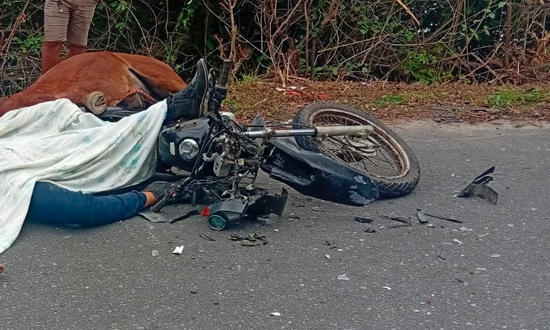 Motociclista de 27 anos morre após colidir com cavalo em Santana do São Francisco