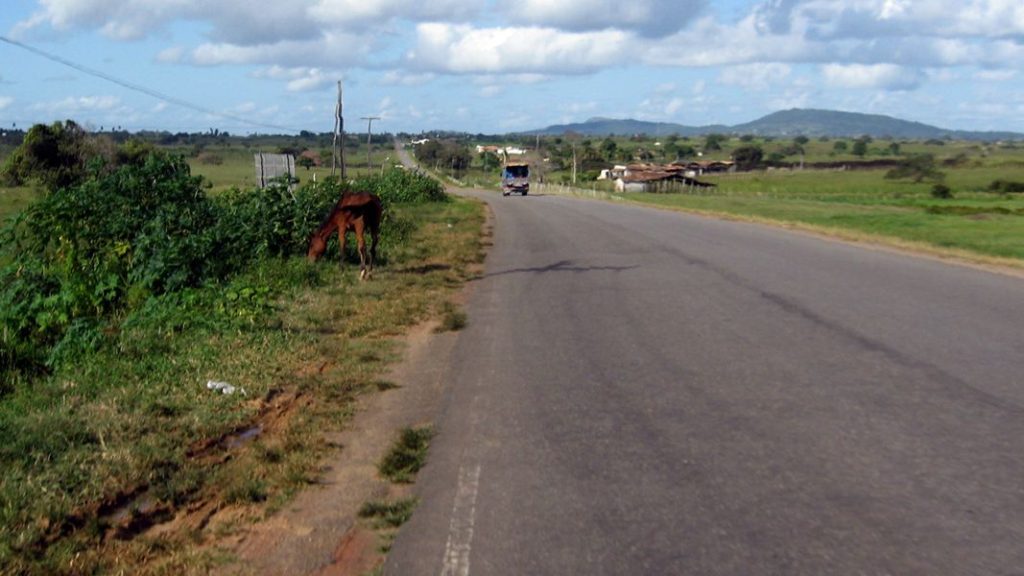 RODOVIA BR-349. CONHECES? 7 Tijolão_prox do bairro bananeira_dir norte