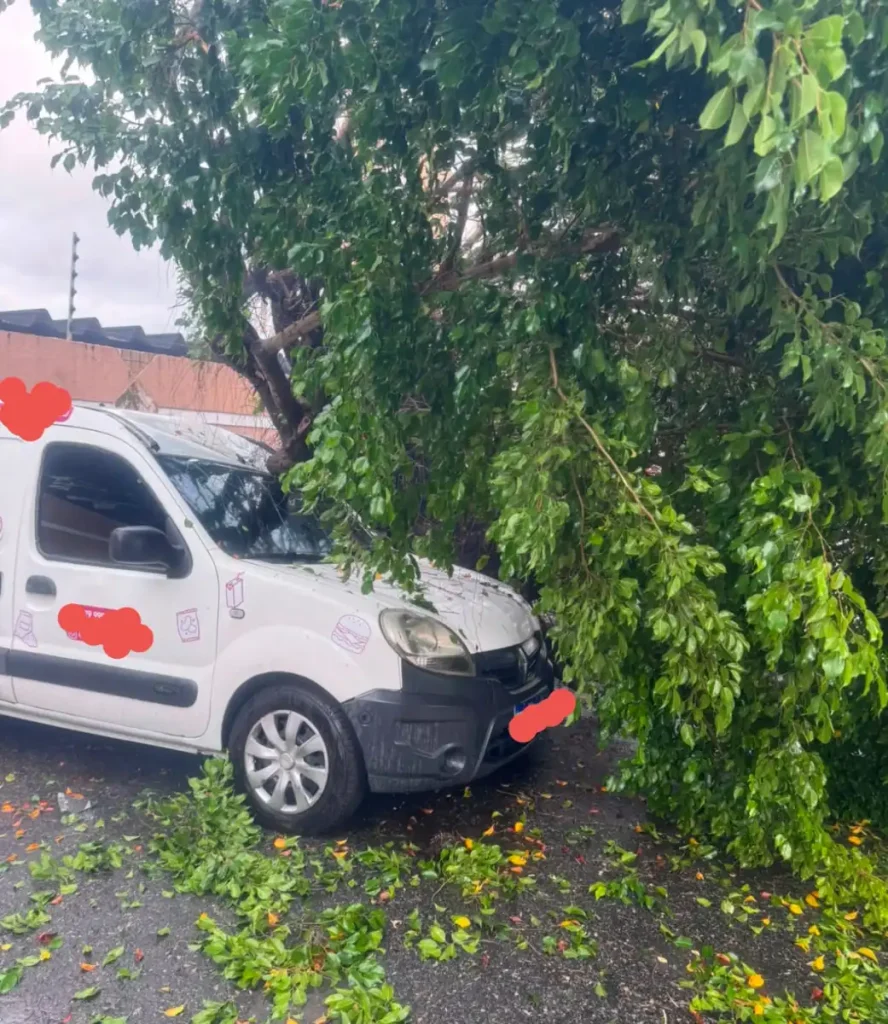 Bombeiros atendem queda de árvore sobre carro no bairro Grageru, em Aracaju; sem feridos