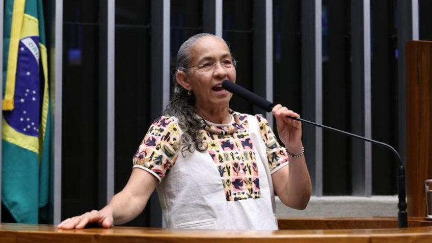 Câmara dos Deputados analisa projeto para criar ‘Disque Animal’