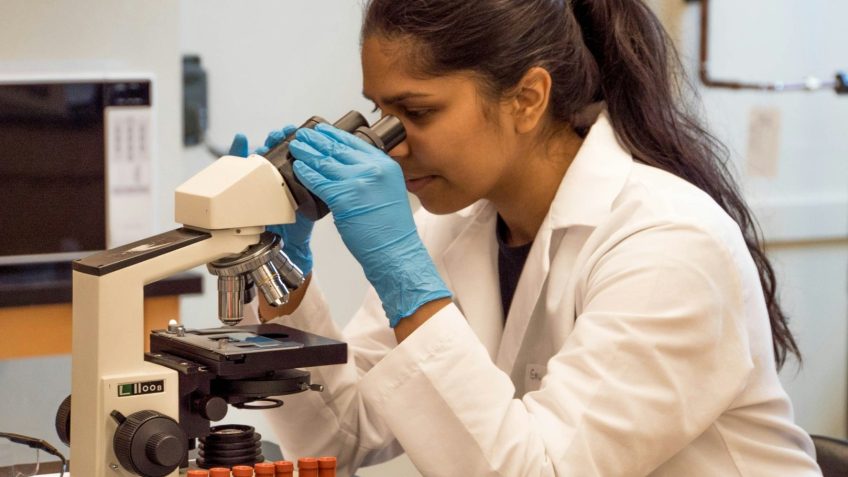 Cientistas propõem ações para combater fungos resistentes a medicamentos