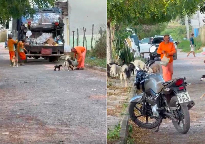 Coletor para caminhão para alimentar cães abandonados e emociona cidade