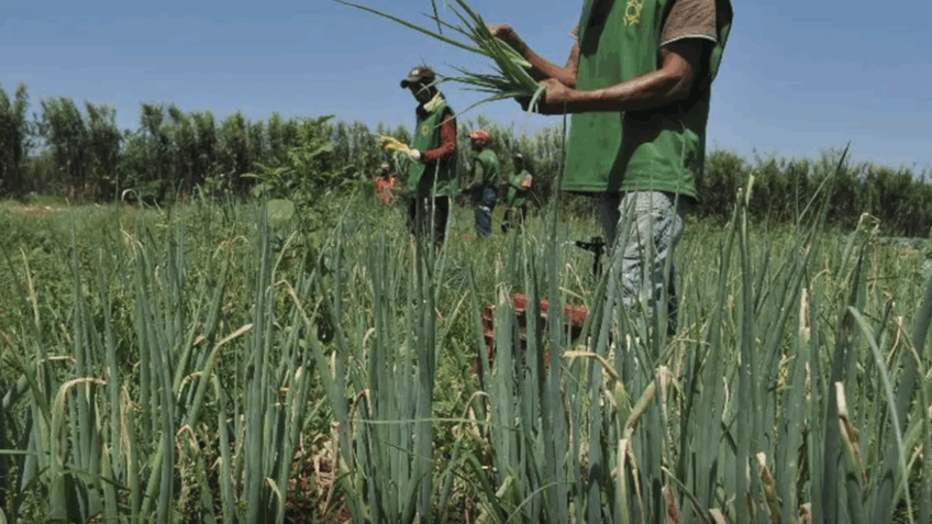 Lula anuncia R$ 97,3 bilhões para o Plano Safra da Agricultura Familiar 2026/2027