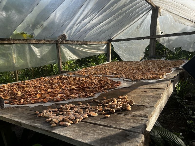 Melhoramentos investe R$ 40 milhões em fábrica de embalagens sustentáveis