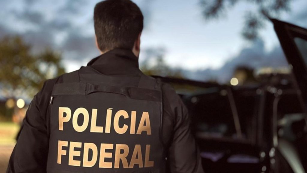 Operação apreende 50 toneladas de cocaína escondidas em madeira no Brasil