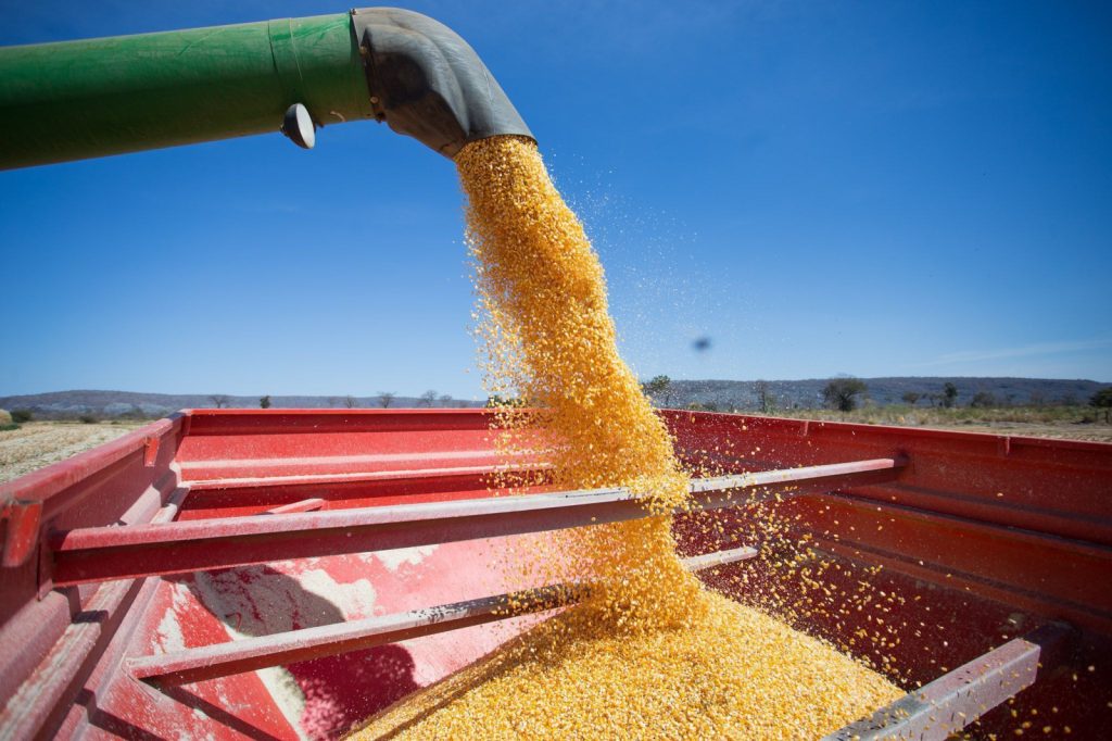 Preços de biodefensivos no Brasil variam até 77%, aponta levantamento