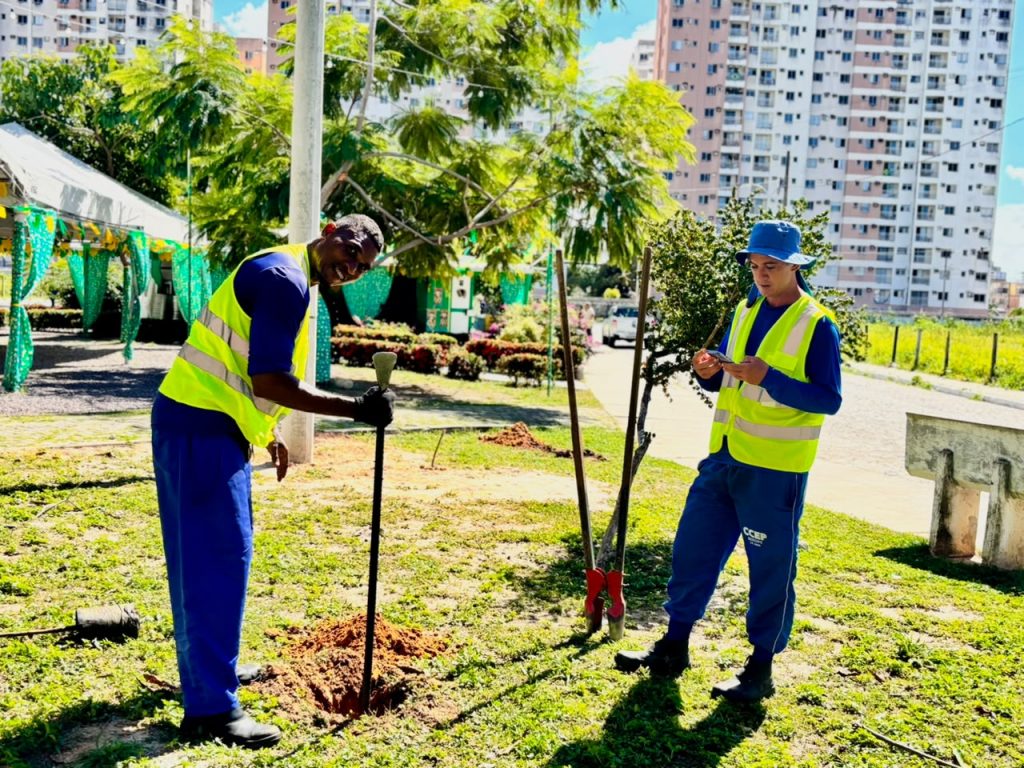 Prefeitura de Aracaju amplia arborização e biodiversidade nas praças do Luzia