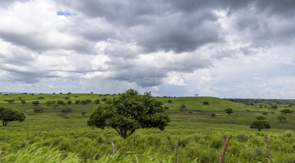 Sergipe terá semana de céu parcialmente nublado e chuvas fracas
