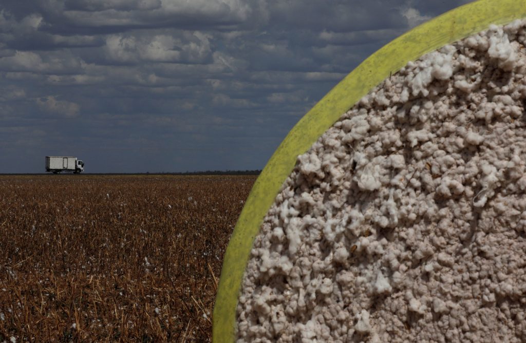 SP pode triplicar florestas plantadas em áreas degradadas