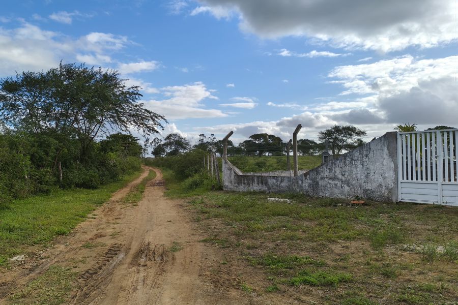 A VELHA ESTRADA PARA SIMÃO DIAS. 7 2026, 07, 17, Taperinha, cemitério e estrada de Simão Dias