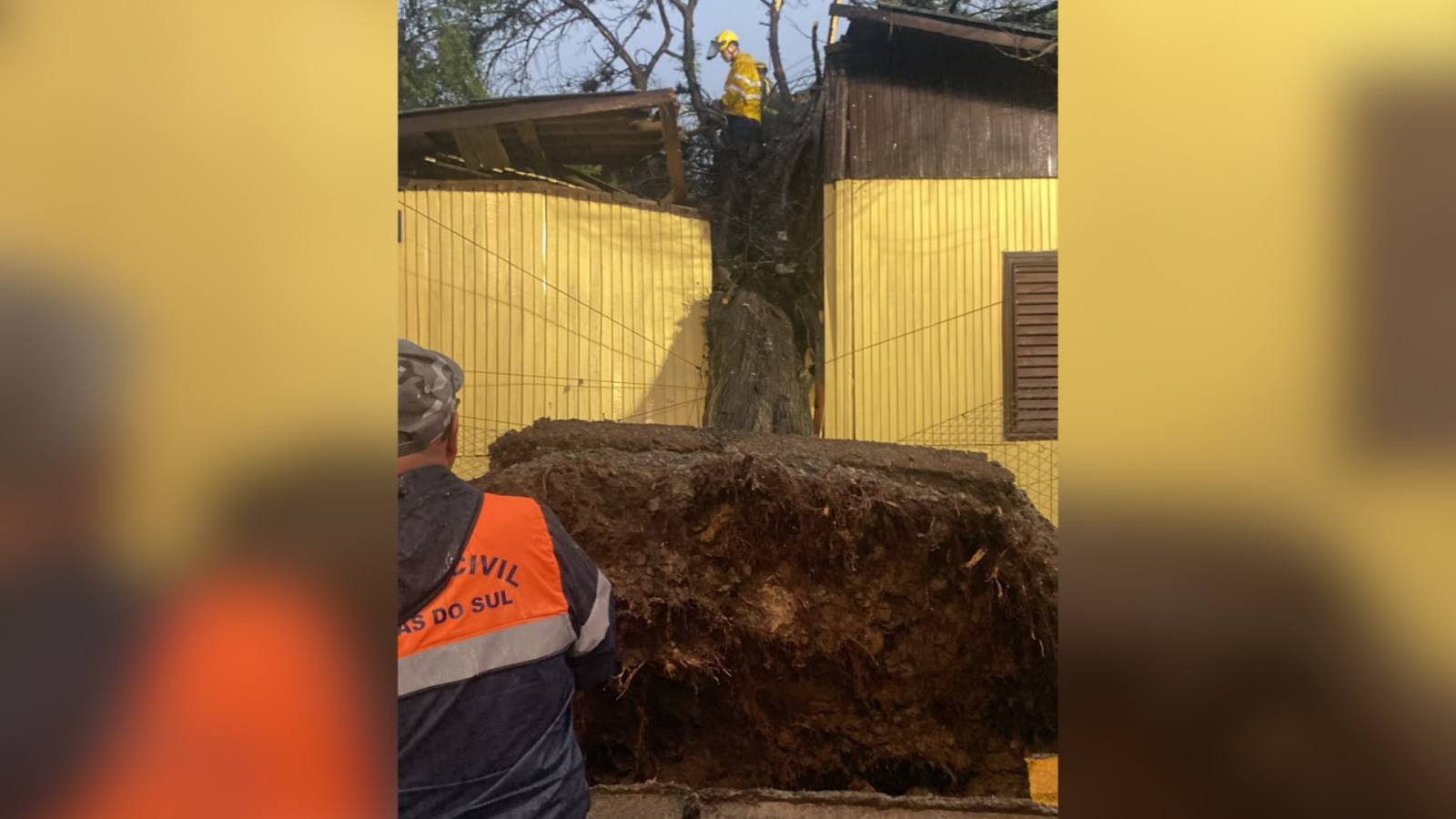 Árvore atinge residência em Caxias do Sul durante forte chuva