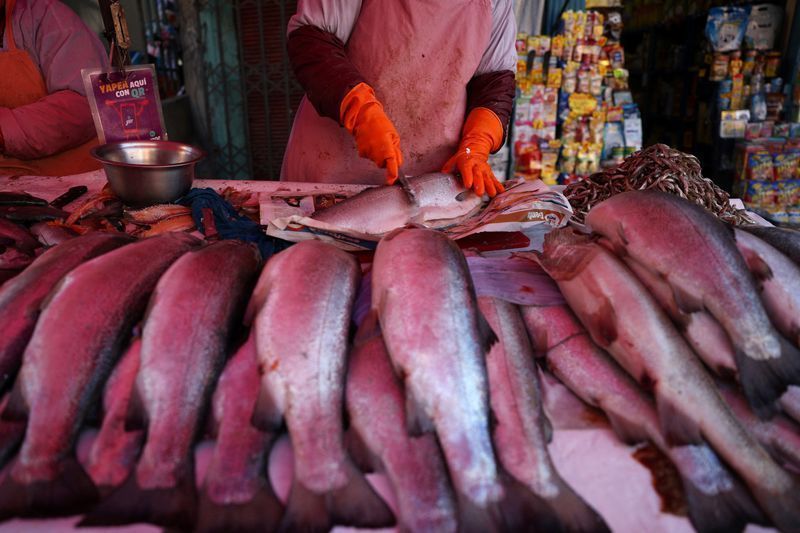 Brasil pode negociar terras raras com EUA após tarifa de 25%, diz ex-OMC