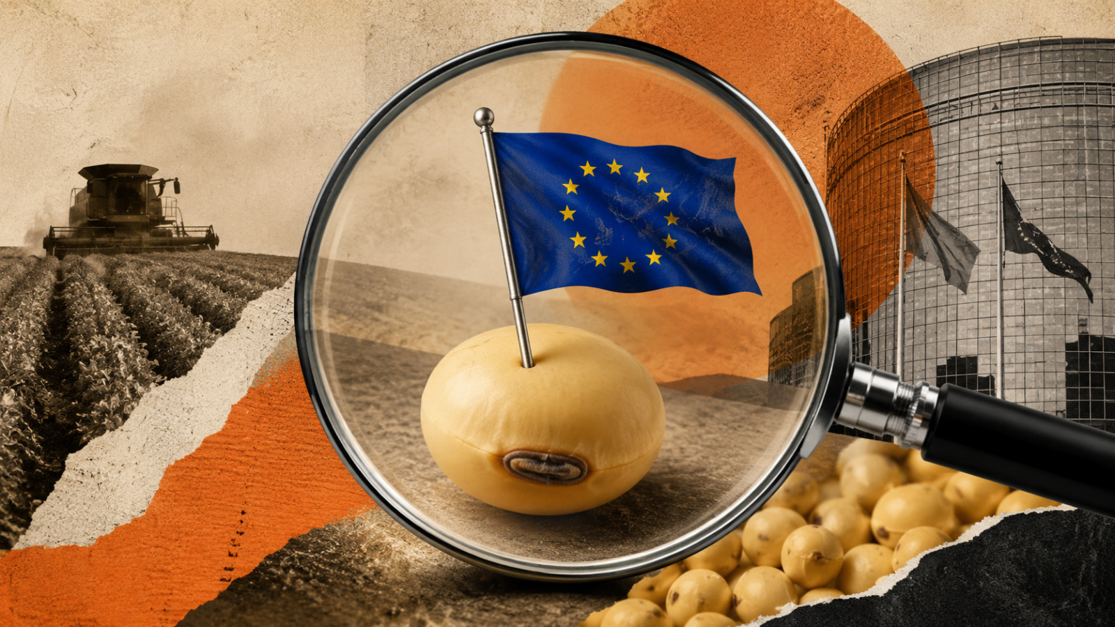 Impacto do calor na Europa resulta em perdas significativas na produção de grãos