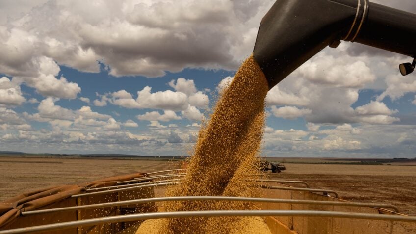 China realiza maior compra de soja dos EUA em sete meses