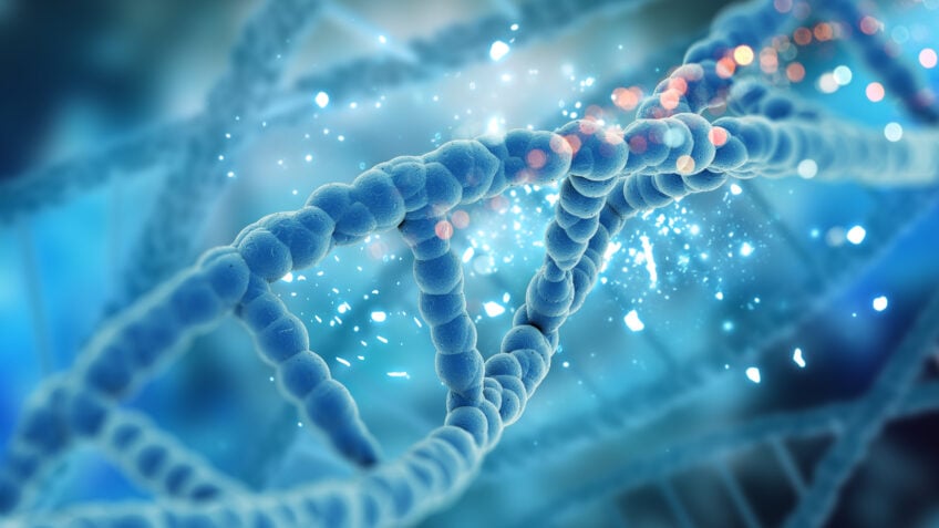 Edição genética de embriões humanos gera debate ético entre cientistas