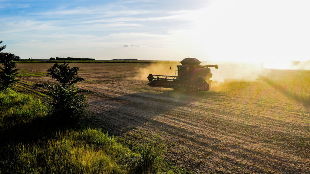 El Niño pode impactar produção de mandioca e preocupar setor no Paraná