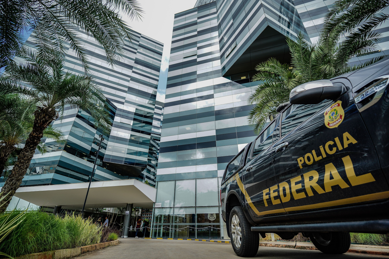Entenda a atuação da Fundação Cacique Cobra Coral no Brasil e no exterior