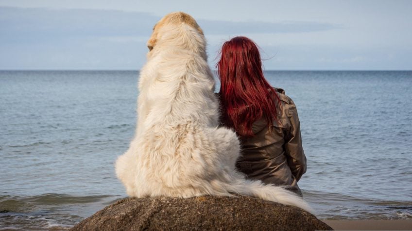 Estudo revela semelhanças de personalidade entre cães e seus tutores