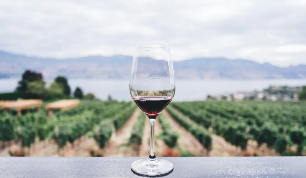 Exportações de vinho brasileiro caem 39,6% para os EUA em 2026