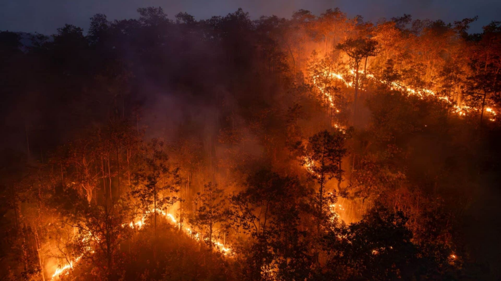 Alerta Climático: O Brasil está pronto para segurar o fogo sob o impacto do El Niño?