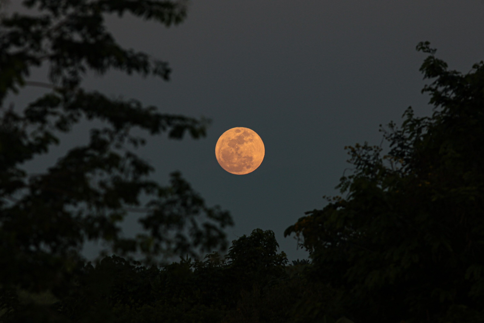 Lua Cheia de julho ilumina o Brasil nesta quarta — saiba quando observar