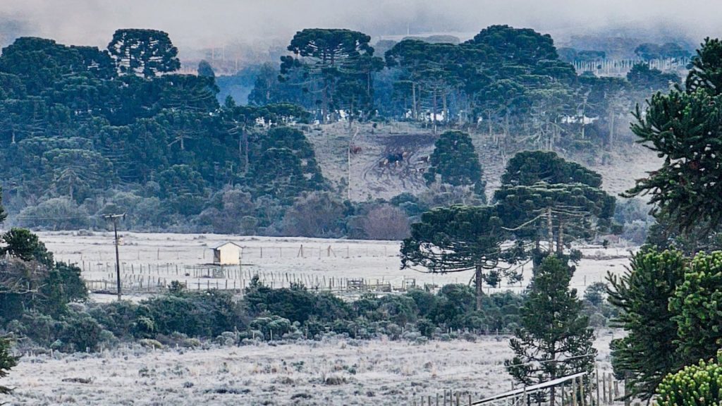 Massa de ar polar provoca geada e temperaturas negativas no Sul do Brasil