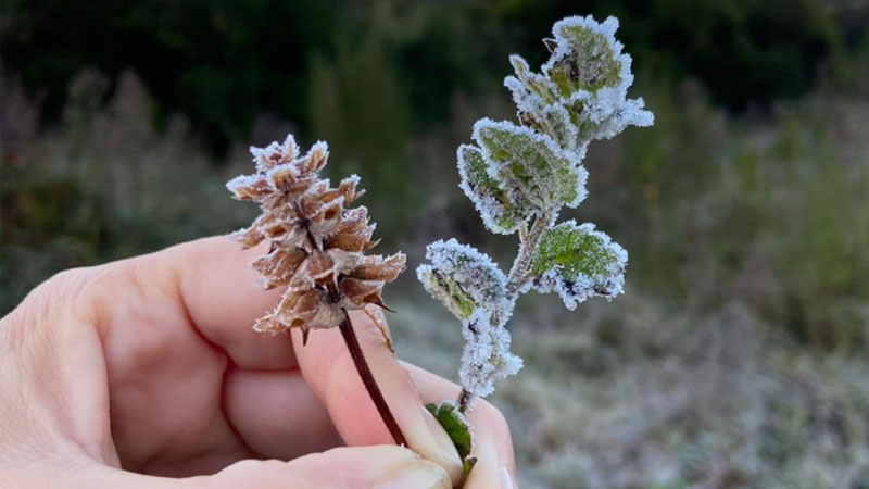 Massa de ar polar provoca queda nas temperaturas em São Paulo nesta semana