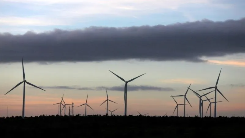 Mulher retoma fornecimento de energia após 5 anos sem serviço em SC