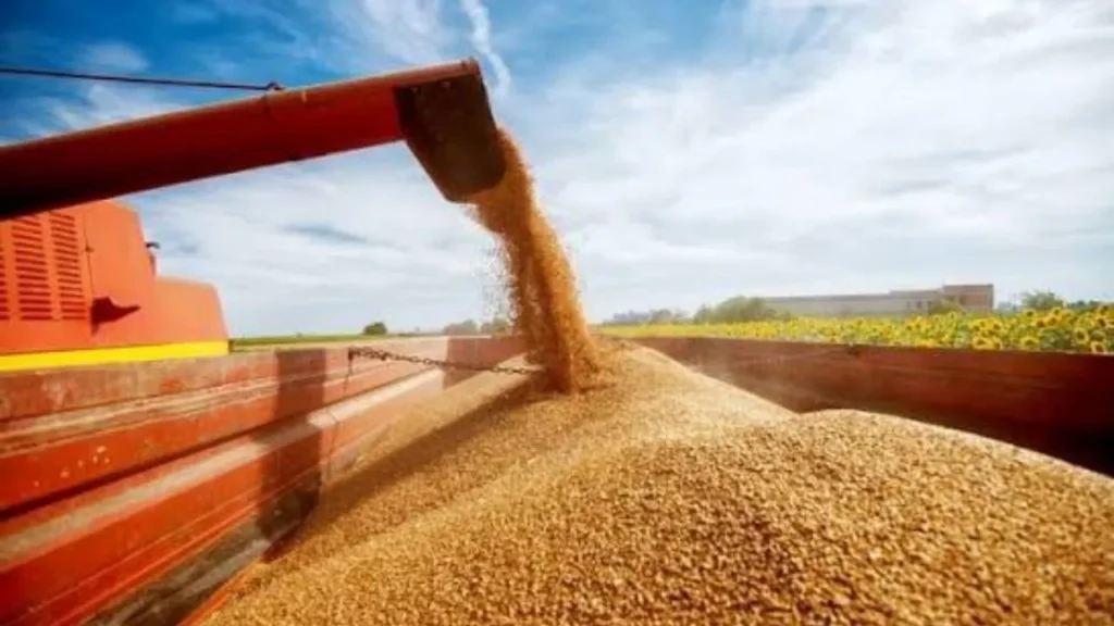 Preços mínimos das safras de verão e regionais 2026/27 e 2027 são atualizados