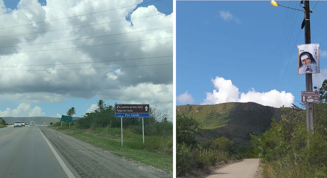 sianalização