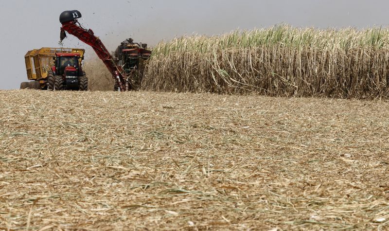 Tarifas dos EUA levam setor agro a repensar estratégias em Washington, afirma Barral