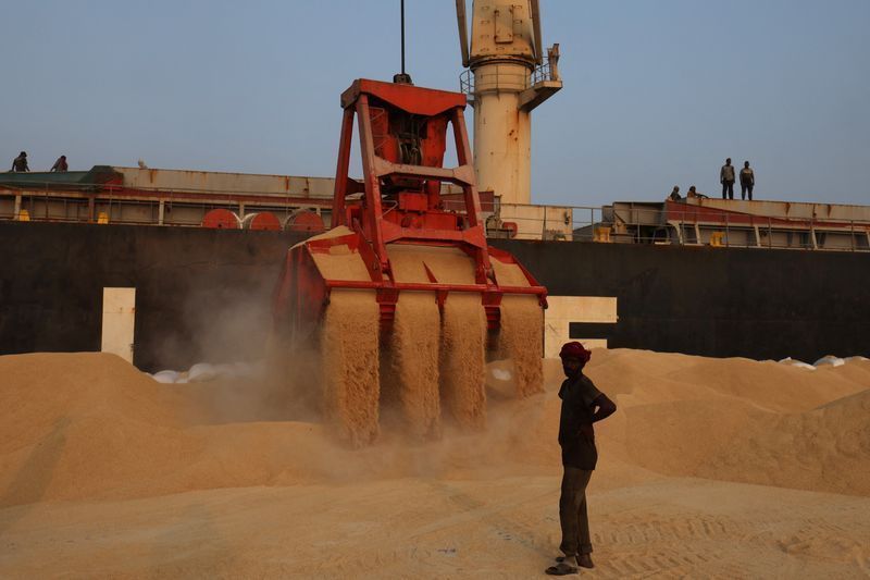 China puxa exportações de sorgo do Brasil; embarques chegam a 400 mil t